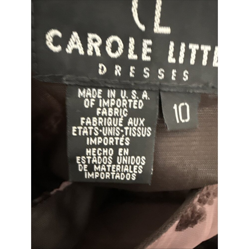 Vtg Carol Little‎ Velvet Burnout Maxi Dress 10 Gown Y2K Whimsigoth Fairy Sheer - Picture 4 of 16